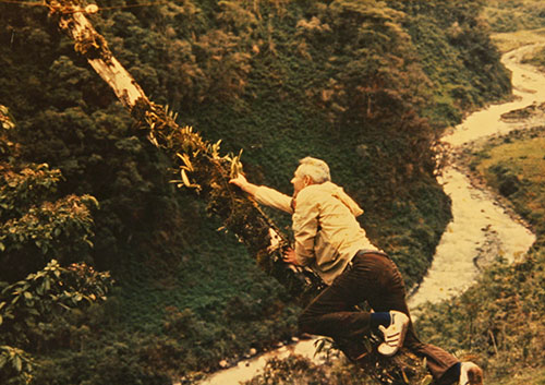 Paul Gripp with Dendrobium speciosum
