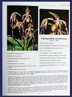 Book: The Paphiopedilum Growers Manual , Second Edition, Revised